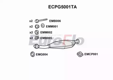 Катализатор (EuroFlo: ECPG5001TA)