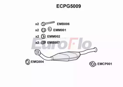 Катализатор (EuroFlo: ECPG5009)