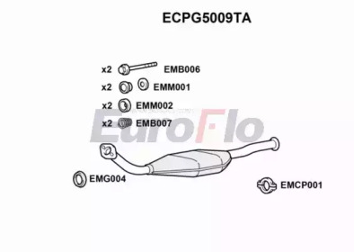 Катализатор (EuroFlo: ECPG5009TA)