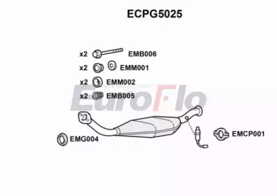 Катализатор (EuroFlo: ECPG5025)