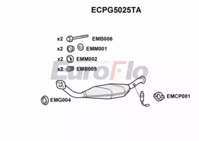 Катализатор (EuroFlo: ECPG5025TA)