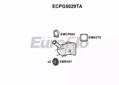 Катализатор (EuroFlo: ECPG5029TA)