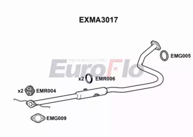 Амортизатор (EuroFlo: EXMA3017)