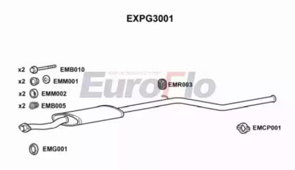 Амортизатор (EuroFlo: EXPG3001)