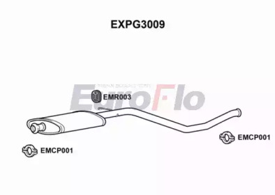 Амортизатор (EuroFlo: EXPG3009)