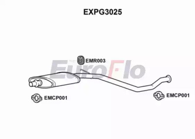 Амортизатор (EuroFlo: EXPG3025)