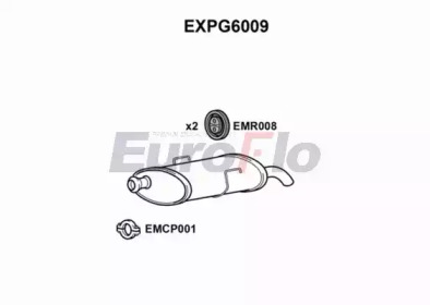 Амортизатор (EuroFlo: EXPG6009)