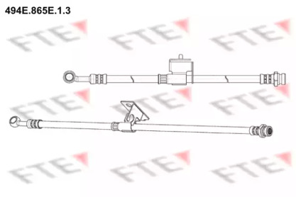 Шлангопровод (FTE: 494E.865E.1.3)