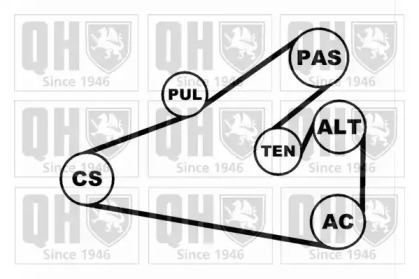 Ременный комплект (QUINTON HAZELL: QDK5)