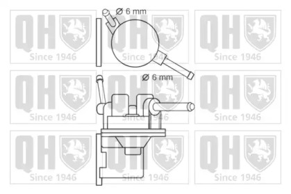 Насос (QUINTON HAZELL: QFP176)