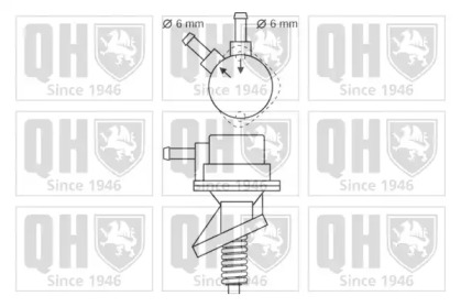 Насос (QUINTON HAZELL: QFP17)