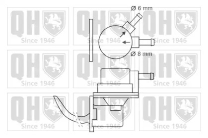 Насос (QUINTON HAZELL: QFP19)