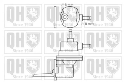 Насос (QUINTON HAZELL: QFP529)