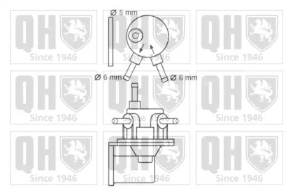 Насос (QUINTON HAZELL: QFP54)