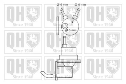 Насос (QUINTON HAZELL: QFP55)