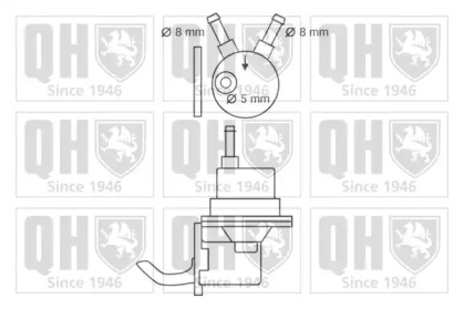 Насос (QUINTON HAZELL: QFP56)