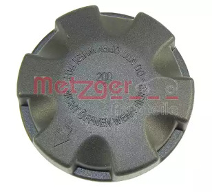 Запор (METZGER: 2140066)