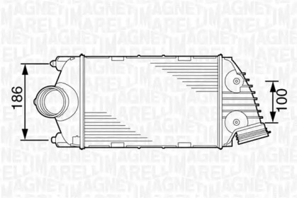 Теплообменник (MAGNETI MARELLI: 351319201810)