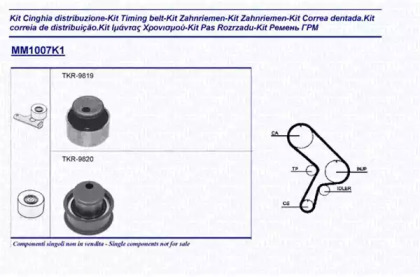 Ременный комплект (MAGNETI MARELLI: 341310071101)