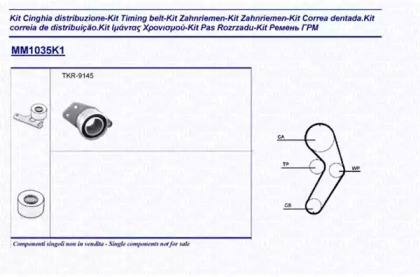 Ременный комплект (MAGNETI MARELLI: 341310351101)