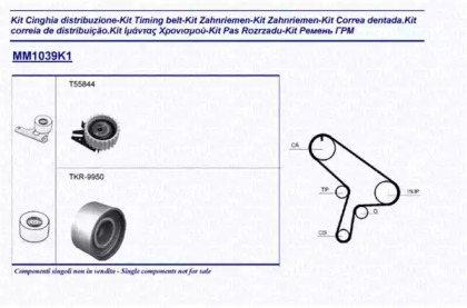 Ременный комплект (MAGNETI MARELLI: 341310391101)