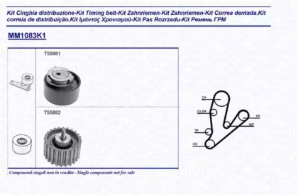 Ременный комплект (MAGNETI MARELLI: 341310831101)