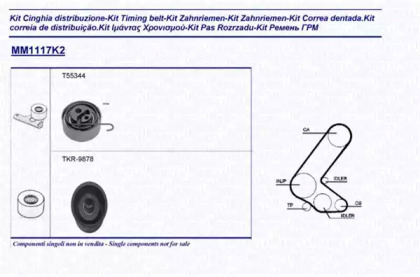 Ременный комплект (MAGNETI MARELLI: 341311171102)