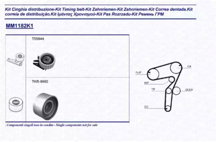 Ременный комплект (MAGNETI MARELLI: 341311821101)