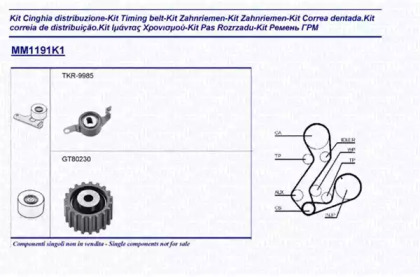 Ременный комплект (MAGNETI MARELLI: 341311911101)