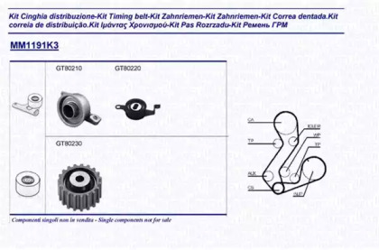 Ременный комплект (MAGNETI MARELLI: 341311911103)