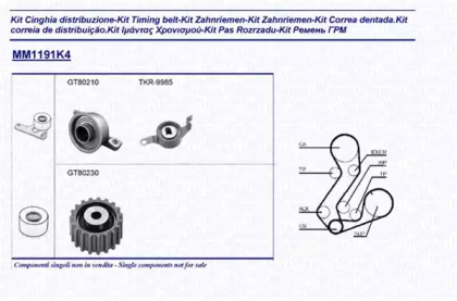 Ременный комплект (MAGNETI MARELLI: 341311911104)