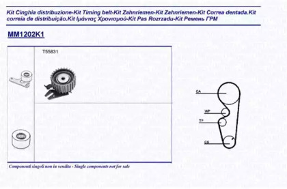 Ременный комплект (MAGNETI MARELLI: 341312021101)