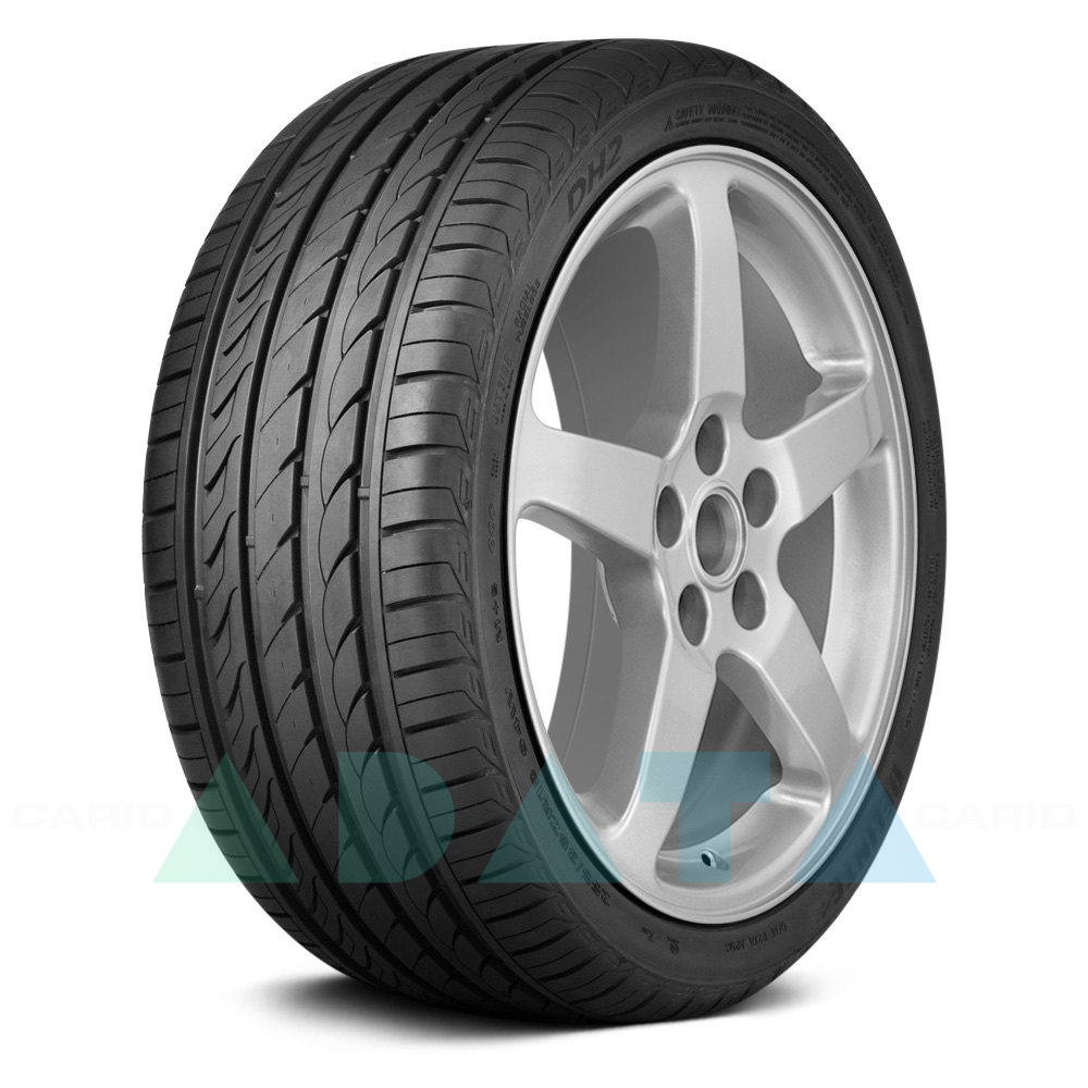 Delinte DH2 215/50 R17 95W XL (Delinte: DH2)